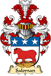 v.23 Coat of Family Arms from Germany for Saloman