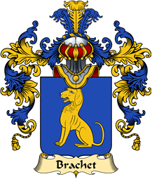 French Family Coat of Arms (v.25) Brachet