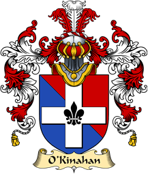 Irish Family Coat of Arms (v.25a) O