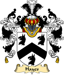 Irish Family Coat of Arms (v.25a) Hayes