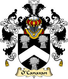 Irish Family Coat of Arms (v.25a) O
