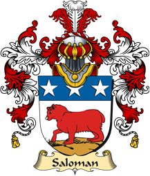 German Coat of Arms (v.25b) Saloman