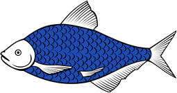 Bream