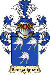 French Family Coat of Arms (v.23) for Bourguignon