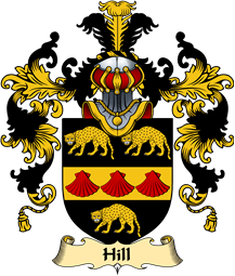 Irish Family Coat of Arms (v.25a) Hill