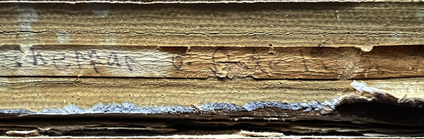 Grefvar spine faint text closeup