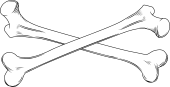 Long Bones in saltire