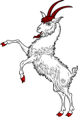 Goat Salient