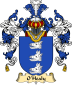 Irish Family Coat of Arms (v.25a) O'Healy or Hely