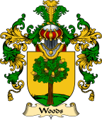 Irish Family Coat of Arms (v.25a) Woods